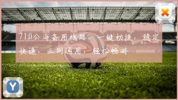710公海备用线路，一键切换，稳定快速，三网通用，轻松畅游