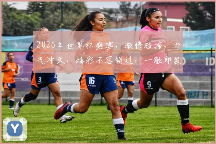 2026年世界杯盛宴，激情碰撞，牛气冲天，精彩不容错过，一触即发