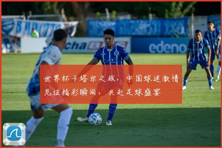 世界杯卡塔尔之旅，中国球迷激情见证精彩瞬间，共赴足球盛宴