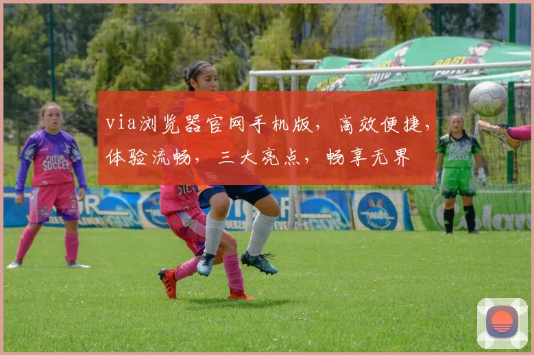 via浏览器官网手机版，高效便捷，体验流畅，三大亮点，畅享无界
